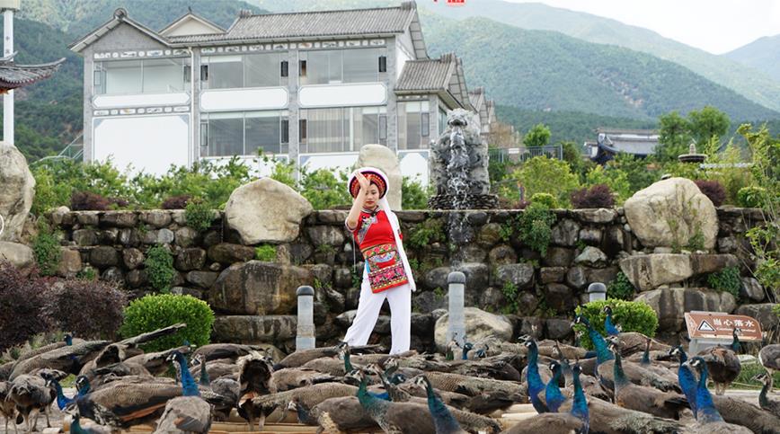 野餐包